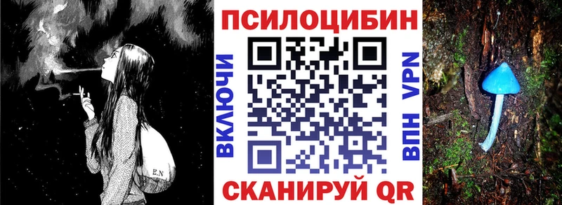 darknet формула Мытищи Псилоцибиновые грибы Psilocybe